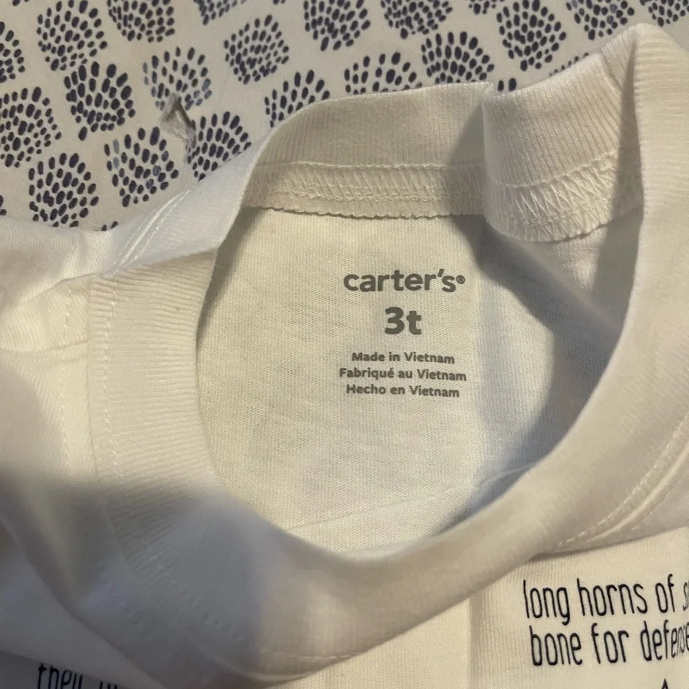 Carters Boys Dino Tee NWT